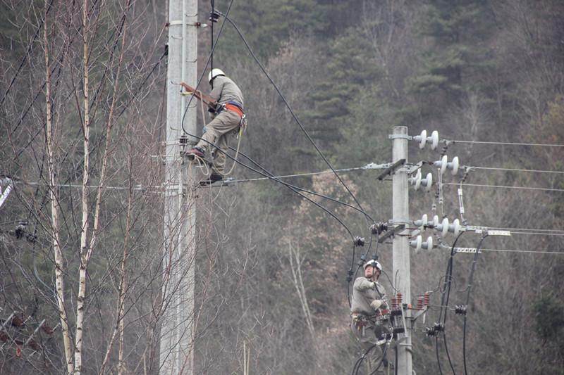 陜西地電留壩供電分公司：實施農石線、索道線分網改造