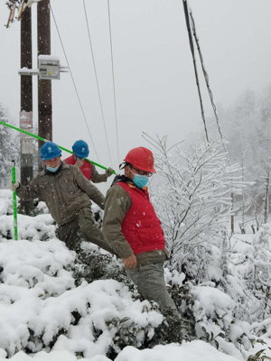國家電網舉全公司之力戰疫情抗風雪保供電