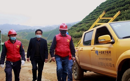平塘供電局：“加減法”同構服務，護航“貴州春茶第一壺”