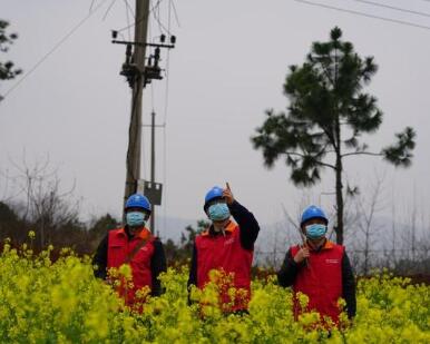 國網江西電力公司全力保障春季農業生產