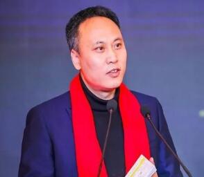 秦海巖：延長并網期限是風電行業應對疫情穩投資的必要舉措