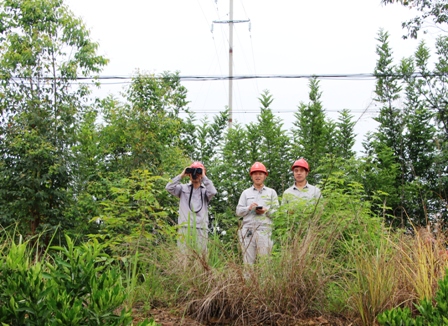 國網江永縣供電公司:負責人帶隊巡線，精施策護網保電