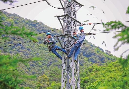 廣東電網肇慶供電局對159條故障高發線路開展全面改造升級專項行動