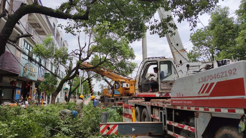 國網南豐縣供電公司：線路整治，備戰迎峰度夏
