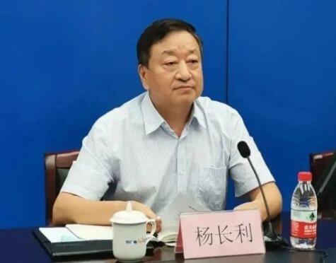 任職總經理半年后，楊長利任中廣核董事長