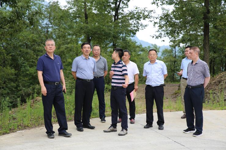 中國能建總經理、黨委副書記孫洪水一行赴陜西鎮巴縣調研定點扶貧工作