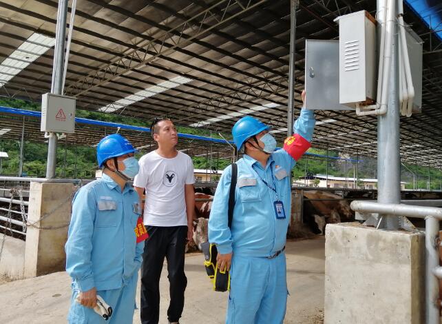 廣西寧明供電公司優質電力助力養殖事業越來越“?！? width=