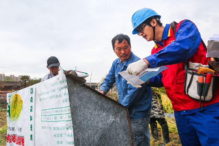 國網寧波市鄞州區供電公司：深入田間地頭，助力“三秋”保豐收