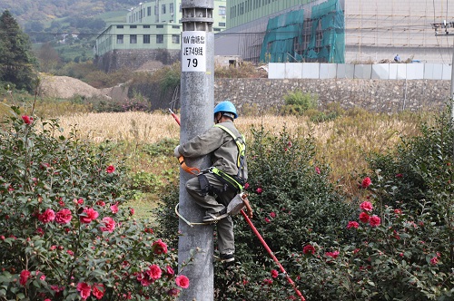 國網寧波市鄞州區供電公司柱上開關退保護，為供電可靠性架起橋梁