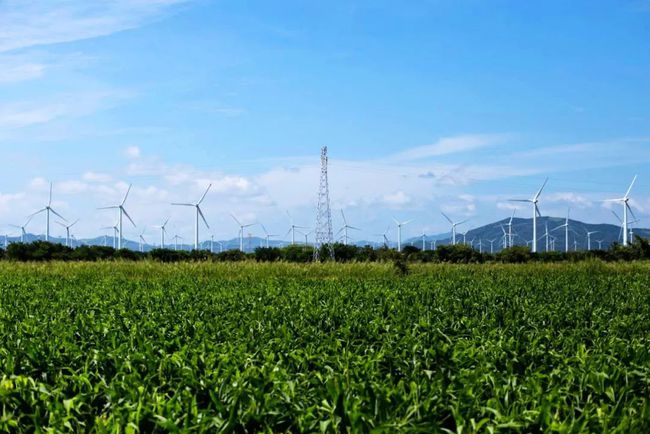 收購墨西哥818MW光伏電站，國家電投境外光伏電站裝機超6GW
