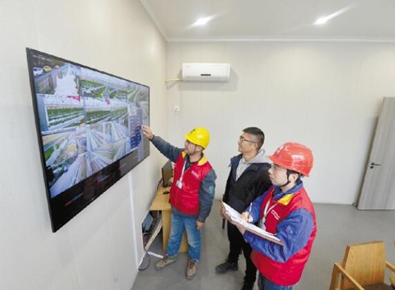 國網余杭供電公司精心服務 讓“智慧農業大棚”溫暖過冬