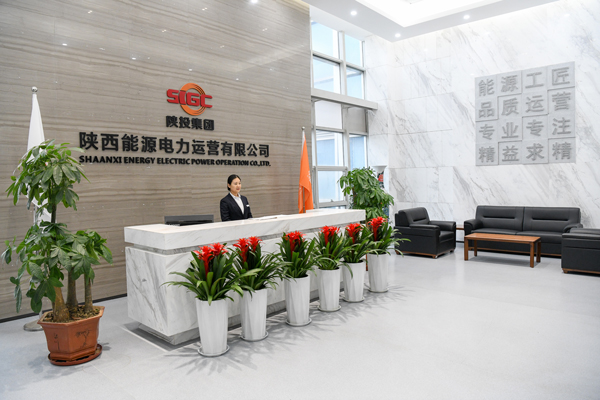 陜投集團電力運營公司聚力改革謀發展