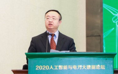 國家電網有限公司大數據中心主任、黨委副書記 王繼業：激活電力大數據價值 落實公司碳達峰碳中和行動方案