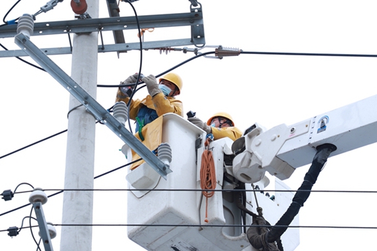 國網山東壽光供電：春光明媚帶電接火 保障養殖企業用電