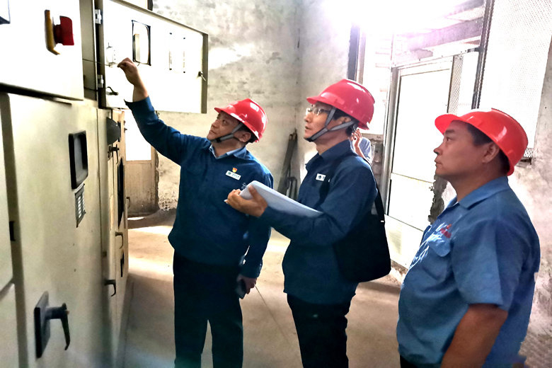 國網大名縣供電公司:優質服務黨員先行 助力企業高效發展