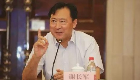原國電集團副總經理謝長軍被開除黨籍