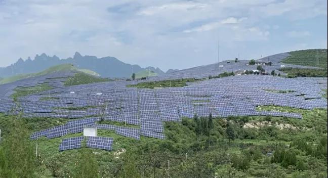 少長一棵草，多發一度電，助力碳中和