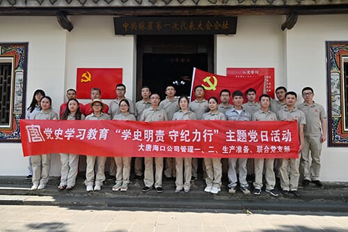 大唐?？诠荆狐h建引領樹旗幟 清潔能源獻海南