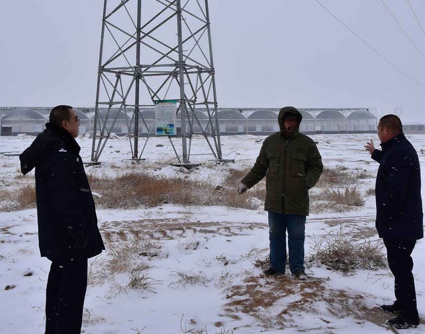 二連浩特供電公司：開展客戶側安全檢查，確?？诎犊蛻粝楹兔髁吝^春節