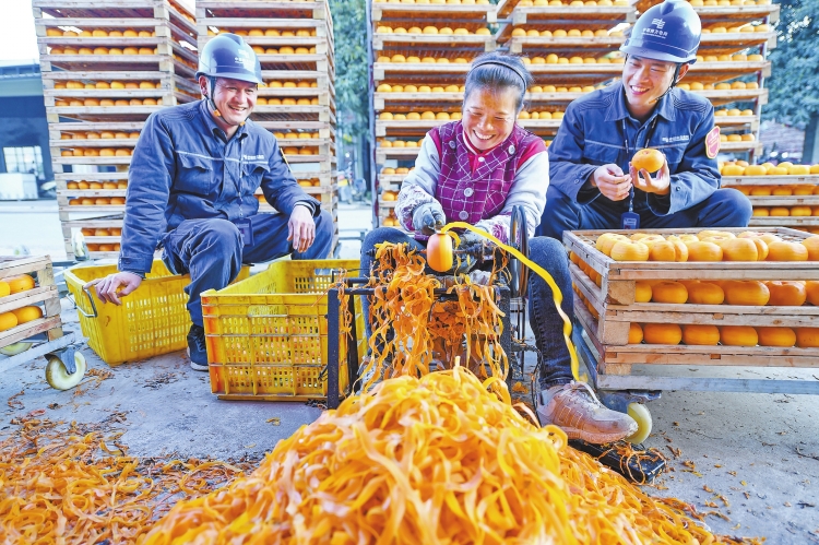 廣西電網公司：農網持續提檔升級 電網之光點亮大美壯鄉