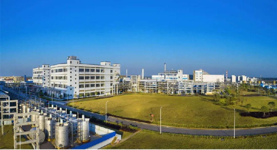 中國能建湖南院加快建設“行業領先、國內一流”的國際工程公司