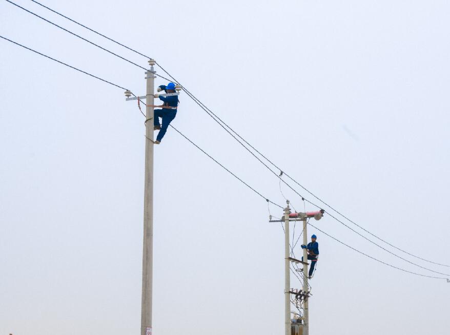阿拉善供電公司：電網健康“體檢”，從登桿開始