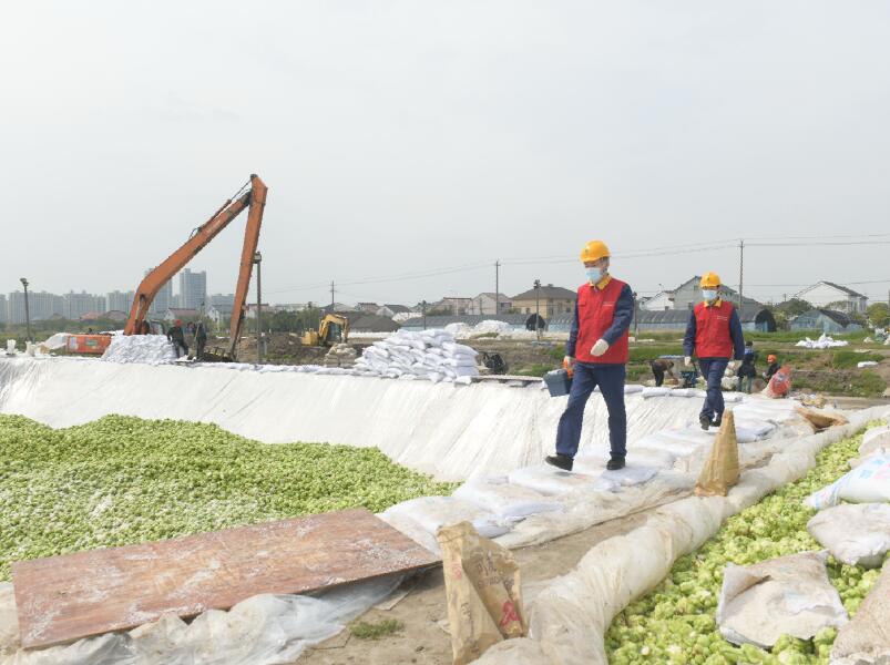 國網余姚市供電公司電助菜農豐收
