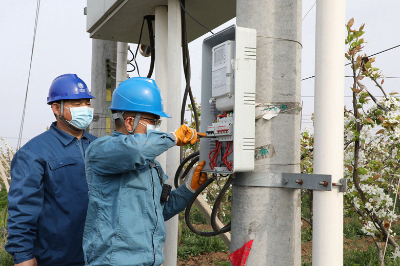 國網諸城市供電公司電力足，千畝梨園花正濃