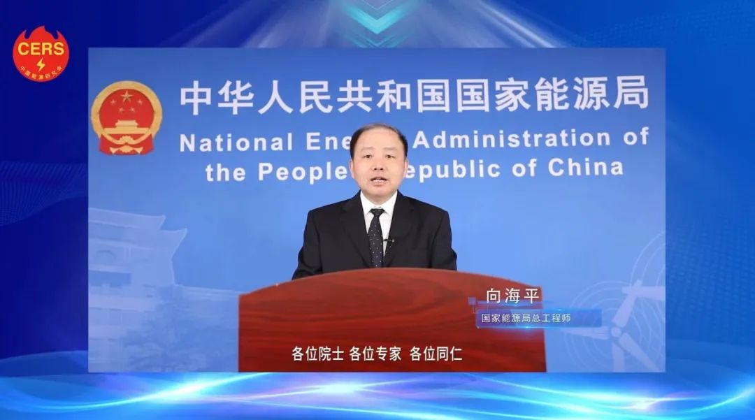 國家能源局總工程師向海平：新能源呈現大規模、