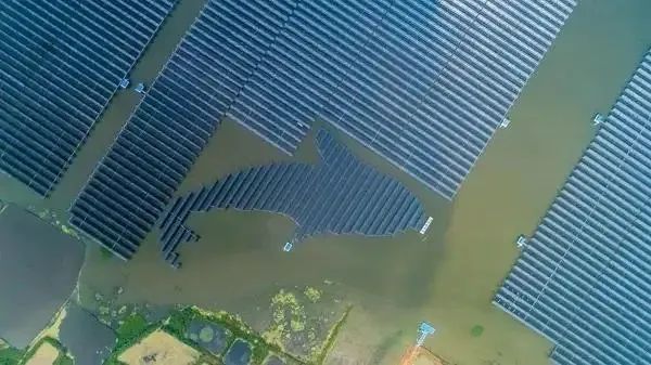 泗洪1000MW光伏領跑者項目被勒令拆除整改！