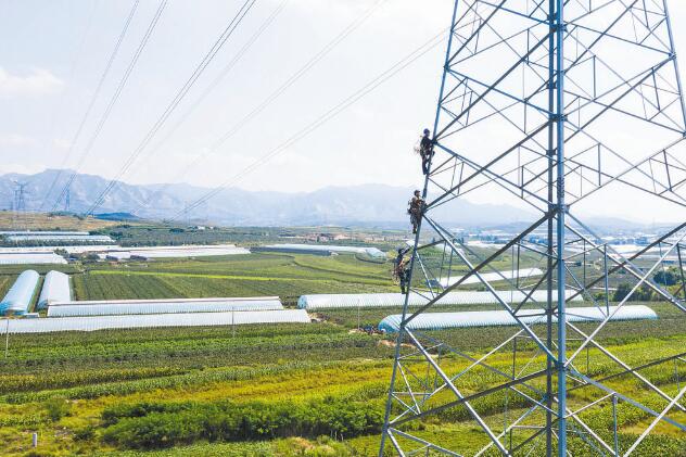 遼寧營口供電公司：黨建引領創新機制 全力服務企業用電
