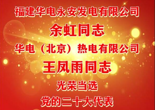 中國華電余虹、王鳳雨同志當選黨的二十大代表