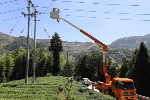 國網壽寧縣供電公司：高溫帶電作業 保障居民用電