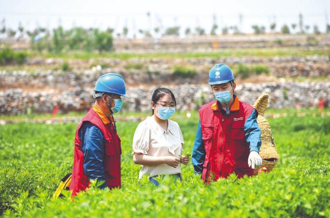 國網淄博供電公司改造升級電網 為村民增收和企業發展提供優質服務