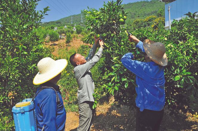王國洲：把村事當家事，把村民當親人