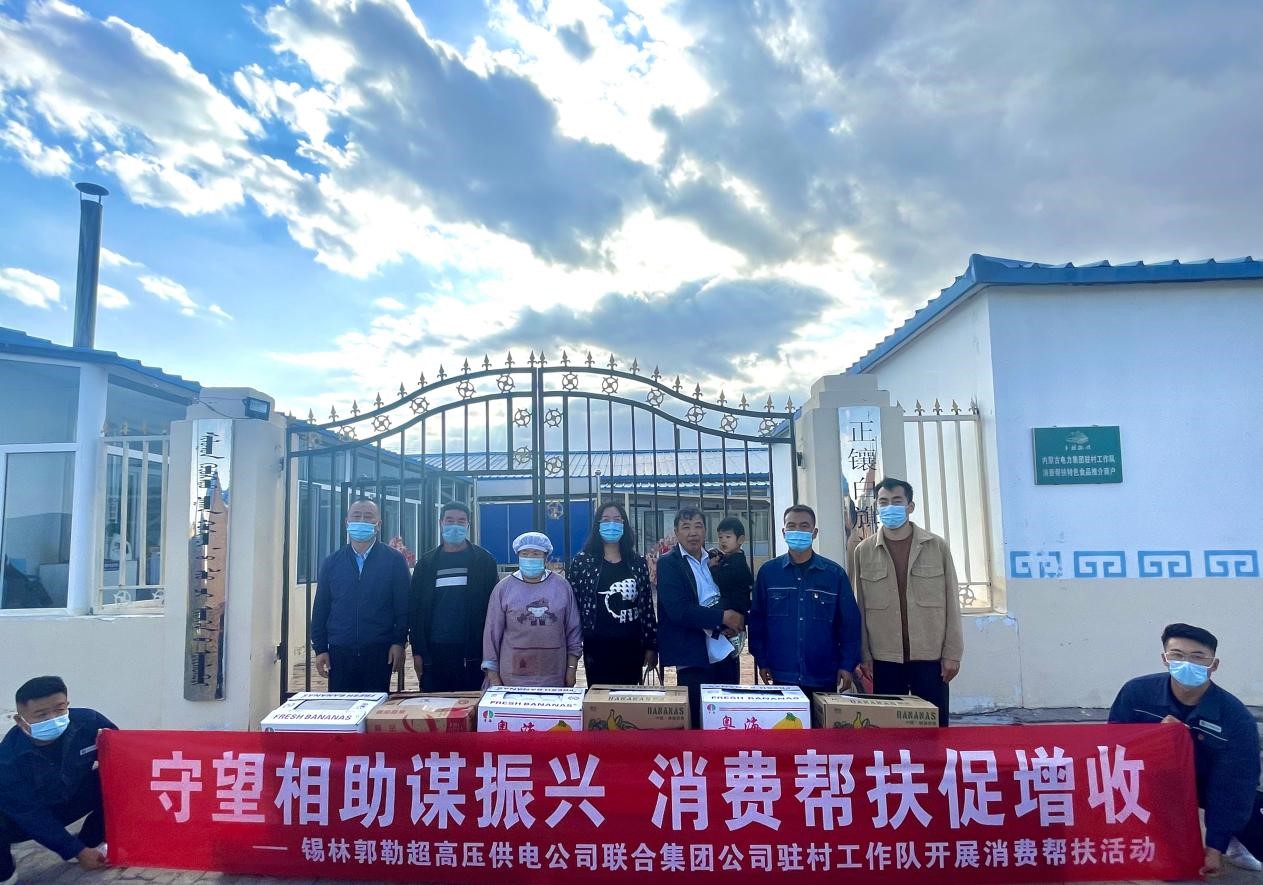 蒙電深情 繪就“鄉村振興”美麗草原新畫卷