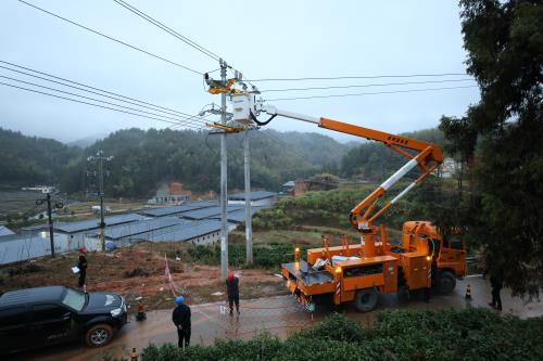 國網壽寧縣供電公司：綠電助推食用菌產業發展