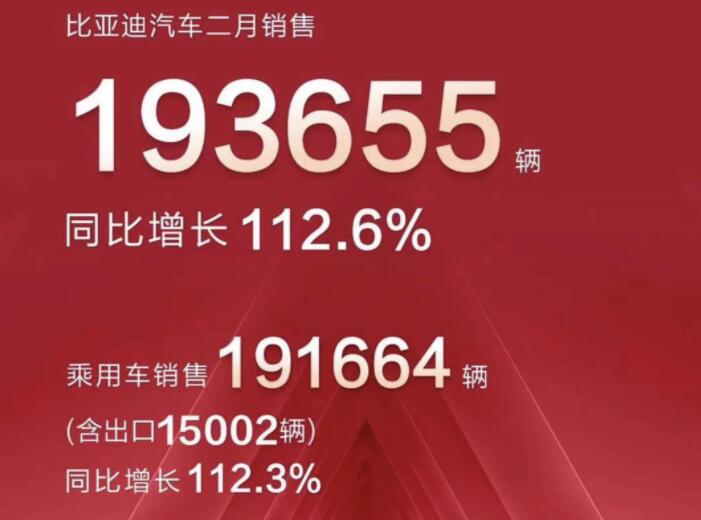 2月新能源車企成績單出爐，比亞迪一騎絕塵