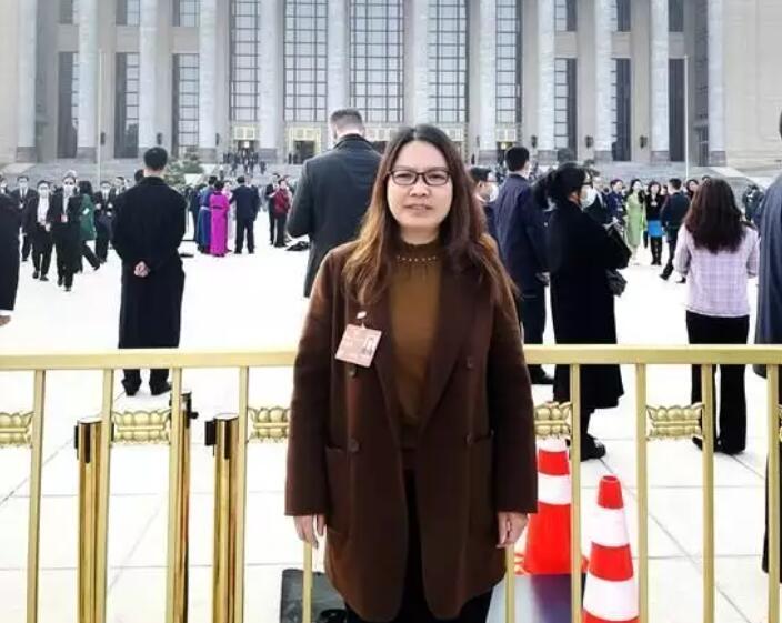 全國政協委員楊洪明：統籌能源保障與綠色轉型，實現電力安全-經濟-低碳供應