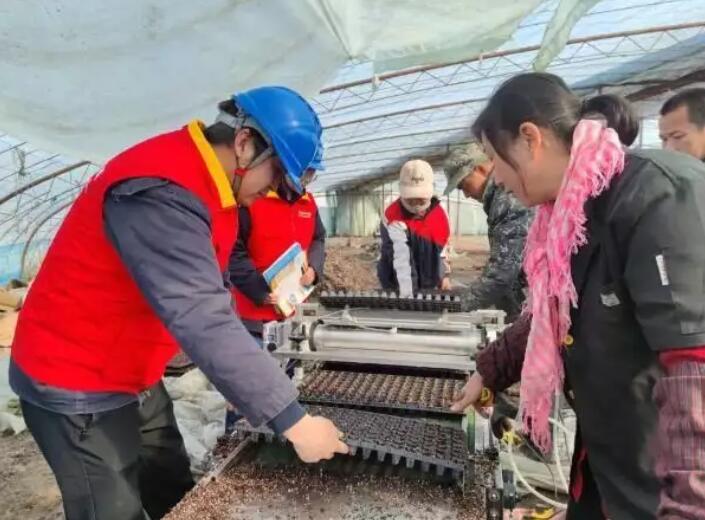 國網新疆電力公司貼心服務，為春耕春灌用電保駕護航