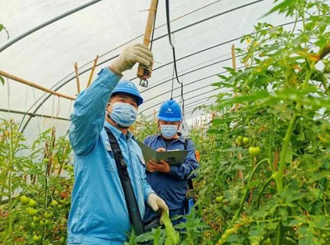 廣西欽州：電力先行 服務鄉村振興
