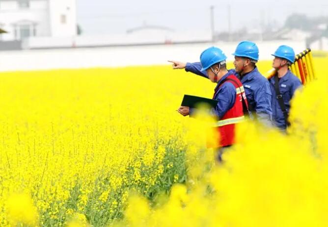 四川德陽：電力為農業農村現代化添動能