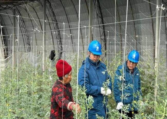 山東惠民供電公司：走訪種植大棚，優化農業營商環境