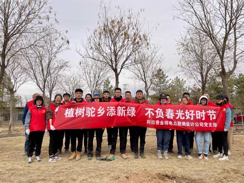 阿拉善金圳電力設計公司：植樹駝鄉添新綠 不負春光好時節