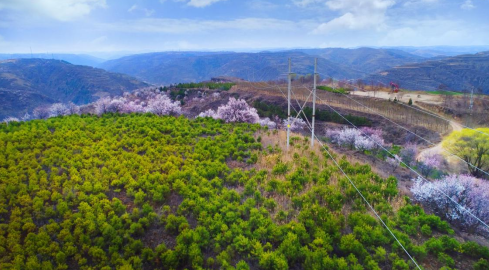 國網慶陽供電公司電力賦能繪就美麗鄉村新畫卷