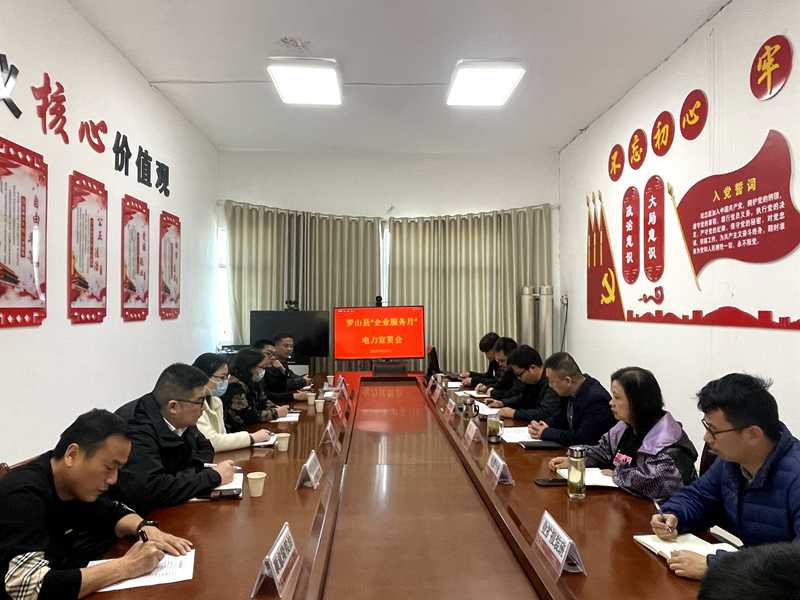 國網羅山縣供電公司召開“企業服務月”企業培訓會