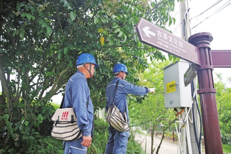 廣西南寧供電局：春茶生產“電力足”