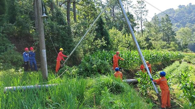 貴州修文供電局電力賦能鄉村多元化發展增“底氣”