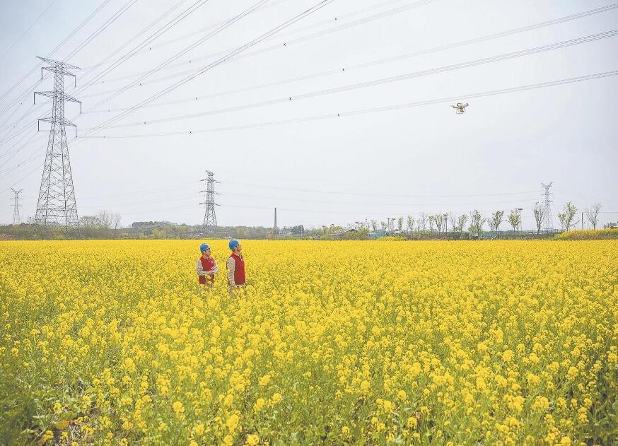 國網南京供電公司促進黨建與業務全面融合