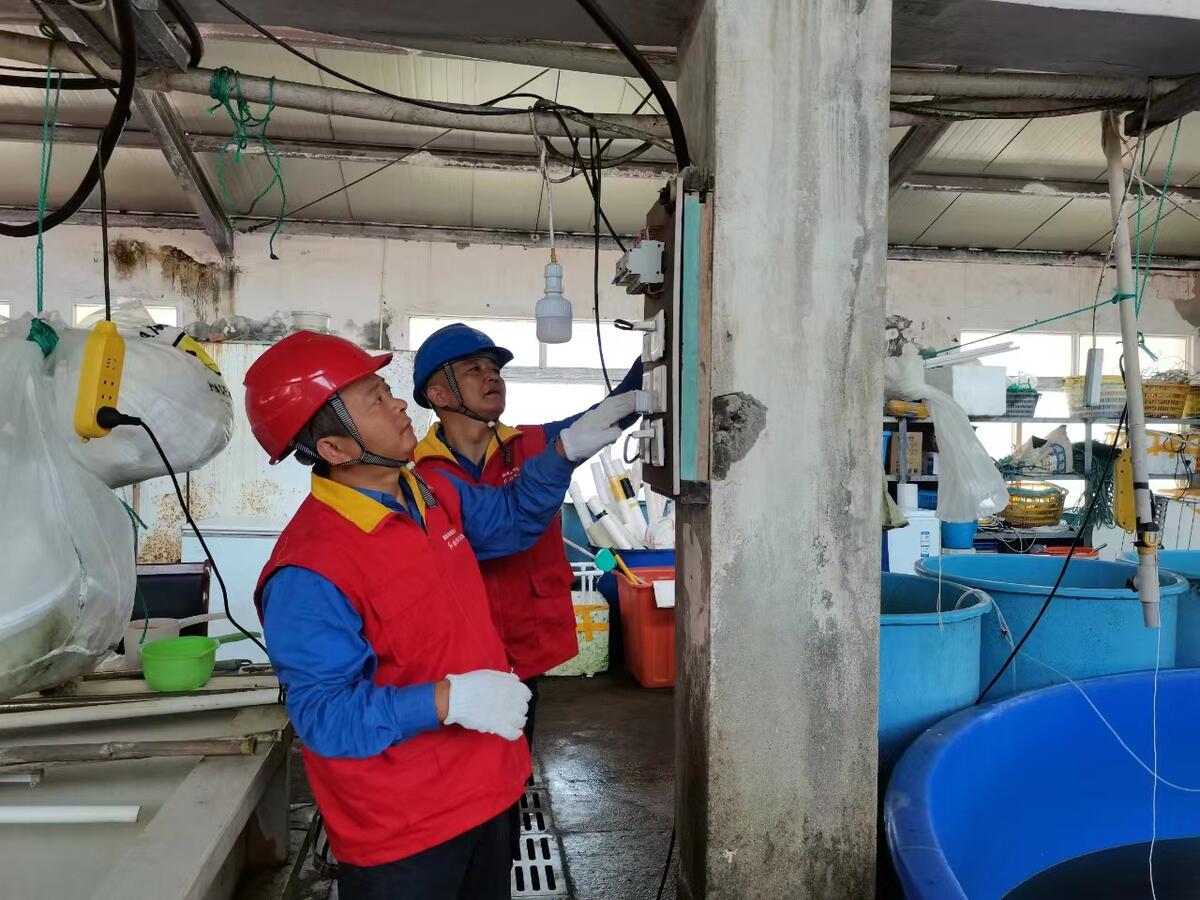國網舟山供電公司電力賦能產業興 護航養殖“科研”路